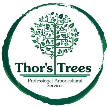 Thor’s Trees