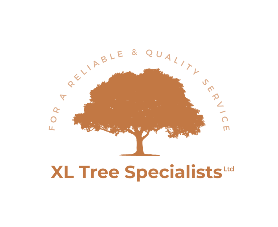 XL Tree Specialists Ltd