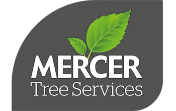 Mercer Tree Services Ltd