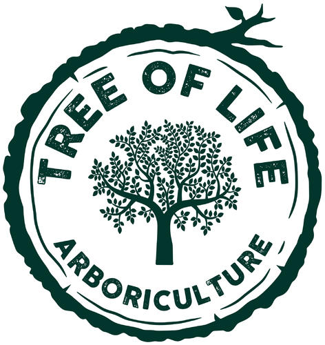 Tree of Life Arboriculture Ltd